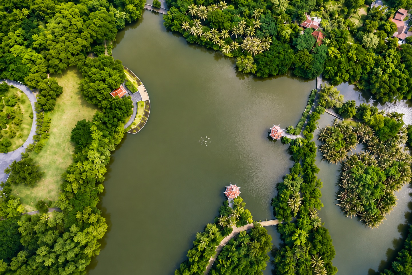 Bang Krachao green area